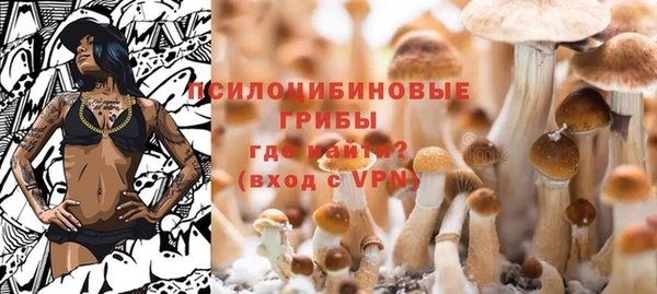альфа пвп Горно-Алтайск