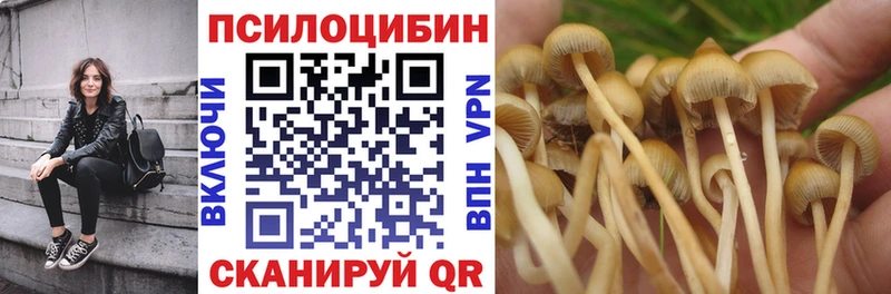 хочу   Елец  Галлюциногенные грибы Magic Shrooms 