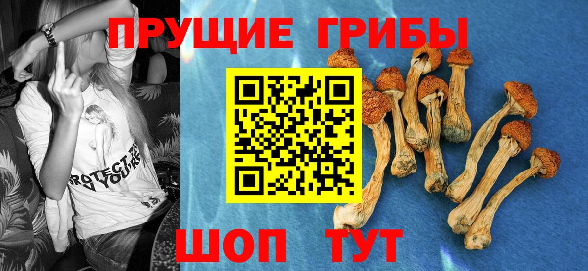 купить закладку  Псилоцибиновые грибы мухоморы  Псилоцибиновые грибы прущие грибы  Вход с VPN  Елец 